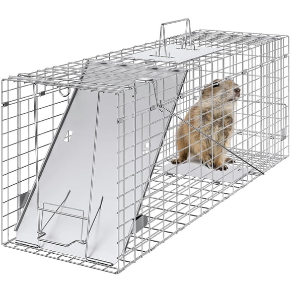 Riwcyla 32" Humane Live Animal Trap Cage, Galvanized Steel Folding Trap for Raccoons, Stray Cats, Groundhogs, Opossums, Heavy-Duty for Outdoor Wildlife Control