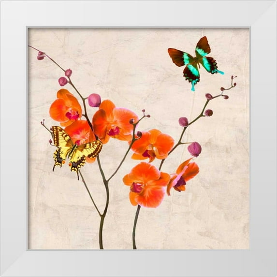 Rizzardi, Teo 15x15 White Modern Wood Framed Museum Art Print Titled - Orchids and Butterflies I