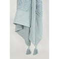 thumbnail image 1 of Rizzy Home 50" x 60" Throw, 1 of 5