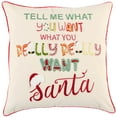 thumbnail image 1 of Rizzy Pillow Embroidered Multi 17"x17"x9", 1 of 5