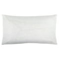 thumbnail image 1 of Rizzy Rugs Pillows Area Rug INSERT 14" x 26" Rectangle, 1 of 5