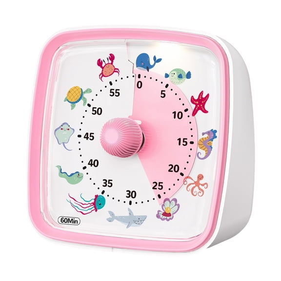 RjnShan Visual Timer with Protective Case, Rainbow Disk 60 Minute Countdown Timer for Teens and Adults, Silent Time Management Tool