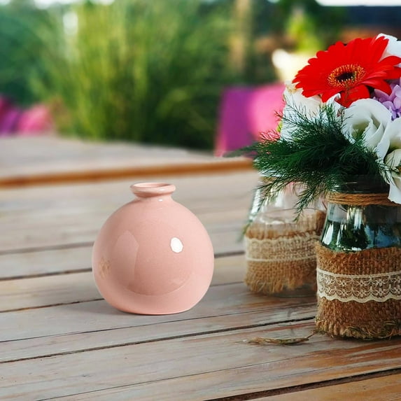 Rkxzt Mini Ceramic Flower Vase, Small Flower Vases for Home Vase Modern Farmhouse Decor Multicolored Plain Small Vases for Flowers Small Plants Floral Dining Room Shelf Decor