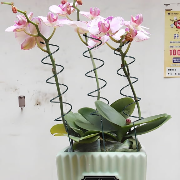 Rkxzt Plant Supports Tomato Stake Climbing Frame 40cm Iron Plant Support Pole for Garden Vegetables 10 Pack Home Garden|Iron