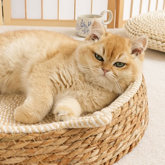 Rkxzt Wooden Cat Bed Rattan Pet Bed Round Dog Mat Cozy Sleeping Cushion Wood Material 13.7x13.7x2.76in 1Pcs Bedding|Wood,Beige