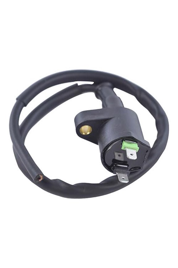 RM06025 External Ignition Coil