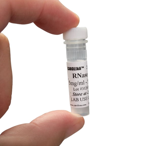 Rnase A, 5 Mg/Ml, 500l, Modifying Enzyme