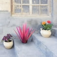 thumbnail image 1 of RnemiTe-amo Decorations Tequila Iron Crafts Plant Garden Garden Ornament, 1 of 1