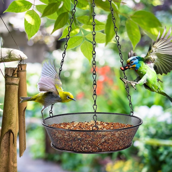 RnemiTe-amo Wild Hanging Tray Bird Feeder, Multicolor