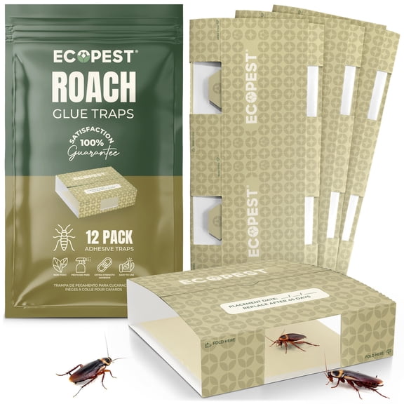 Roach Glue Traps – 12 Pack | Sticky Indoor Glue Traps with Natural Attractant | Traps Roaches and Other Insects | Adhesive Cockroach Motel, Bait Trap, Monitor, Killer and Detector for Pest Control