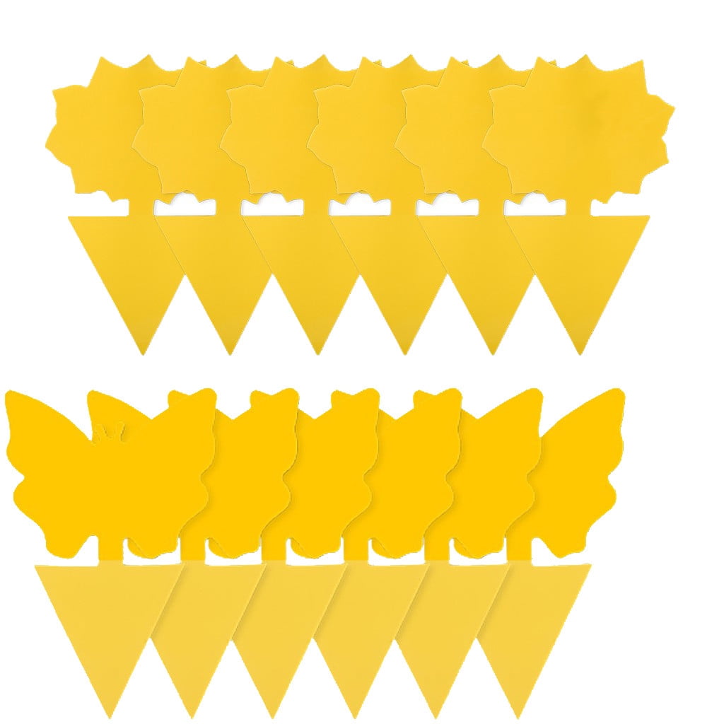 Roaches Gnat Spray Indoor Flea Night Light Dog Proof Coon Sticky Tape