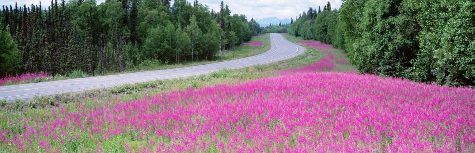 Road AK Canvas Art - Panoramic Images (27 x 9)