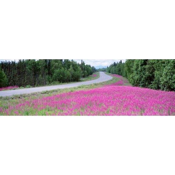 Road AK Poster Print (27 x 9)