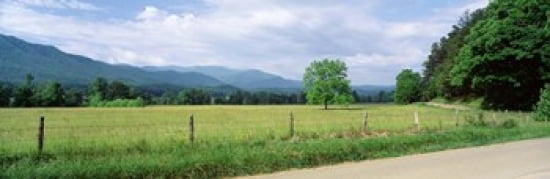 Road Along A Grass Field Cades Cove Great Smoky Mountains National Park Tennessee USA Canvas Art - Panoramic Images (36 x 12)