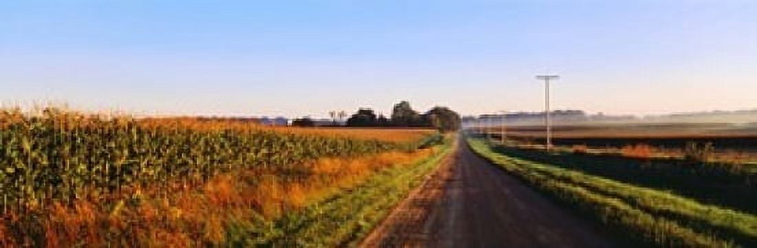 Road Along Rural Cornfield Illinois USA Canvas Art - Panoramic Images (18 x 6)