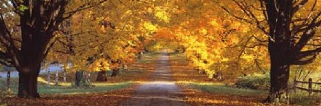 Road Baltimore County Maryland USA Canvas Art - Panoramic Images (18 x 6)
