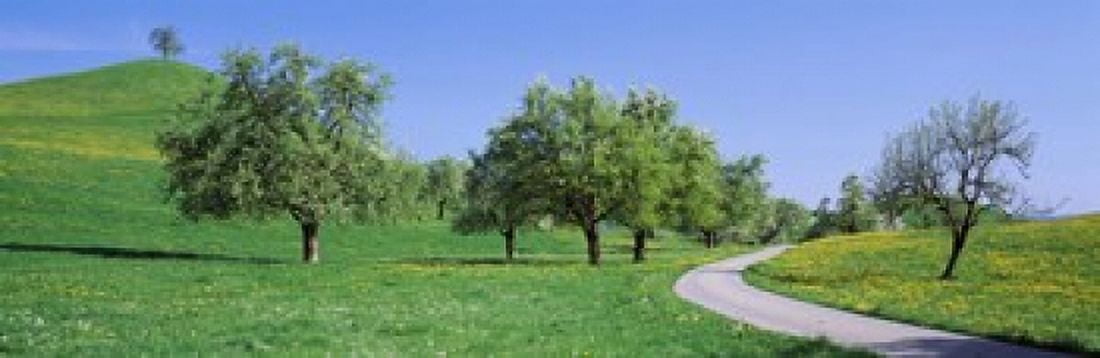 Road Cantone Zug Switzerland Canvas Art - Panoramic Images (18 x 6)