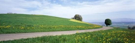 Road Fields Aargau Switzerland Canvas Art - Panoramic Images (36 x 12)
