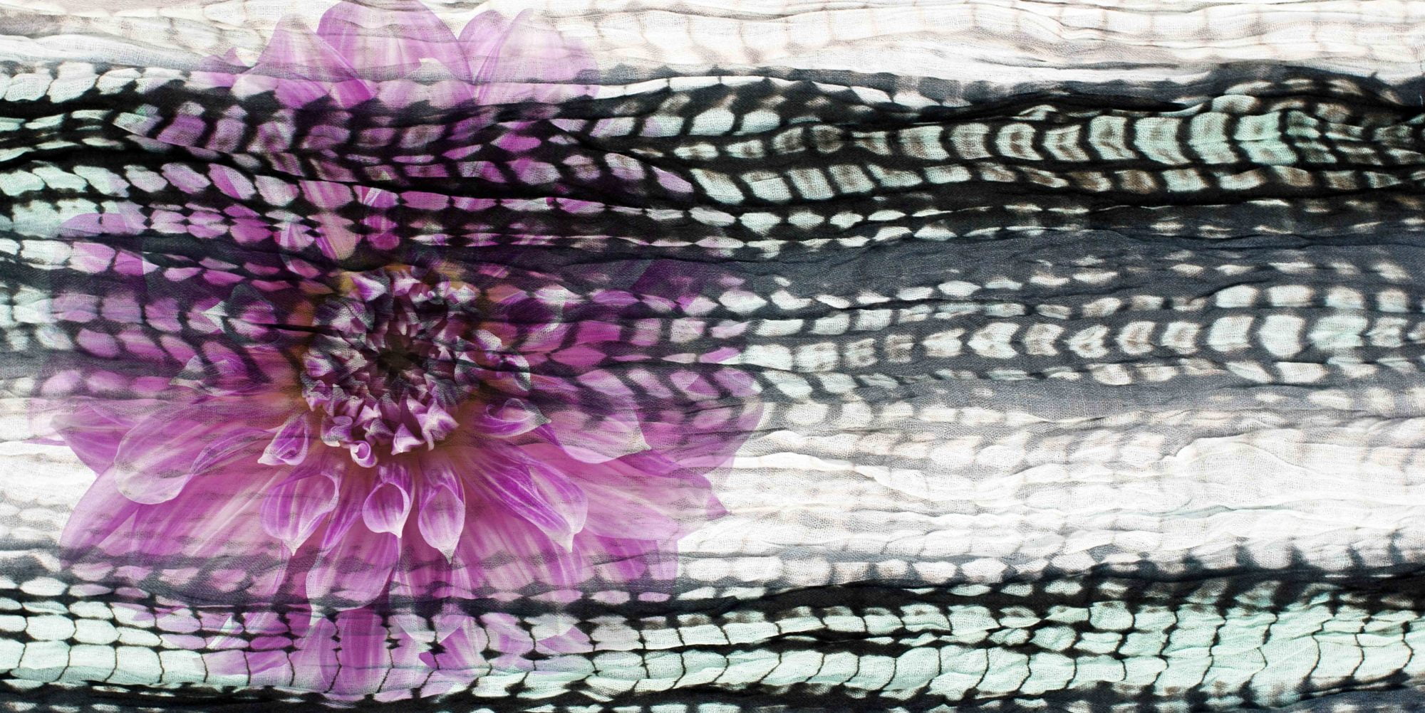 Road Flower by Parvez Taj Painting Print on Wrapped Canvas - Walmart.com