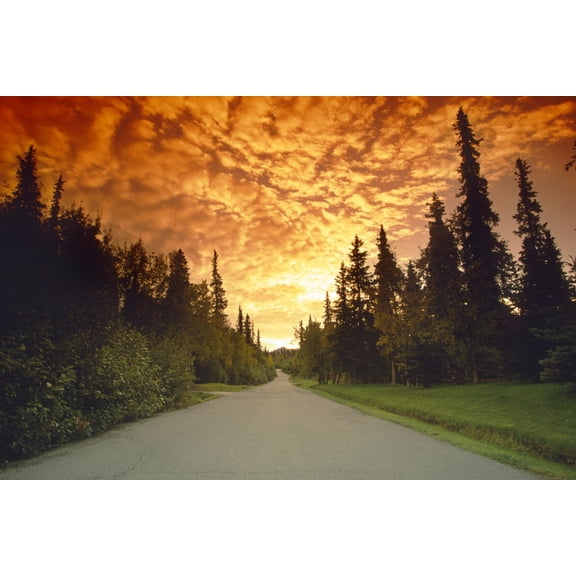 Road Going Into Sunset Rural Anchorage Sc Ak Summer Canvas Art - Jeff Schultz Design Pics (17 x 11)