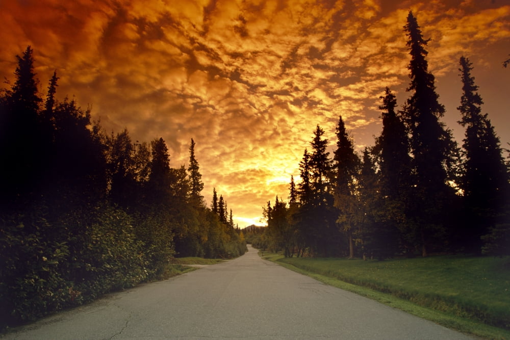 Road Going Into Sunset Rural Anchorage Sc Ak Summer Canvas Art - Jeff Schultz Design Pics (17 x 11)