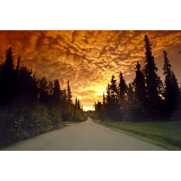 Road Going Into Sunset Rural Anchorage Sc Ak Summer Canvas Art - Jeff Schultz Design Pics (17 x 11)