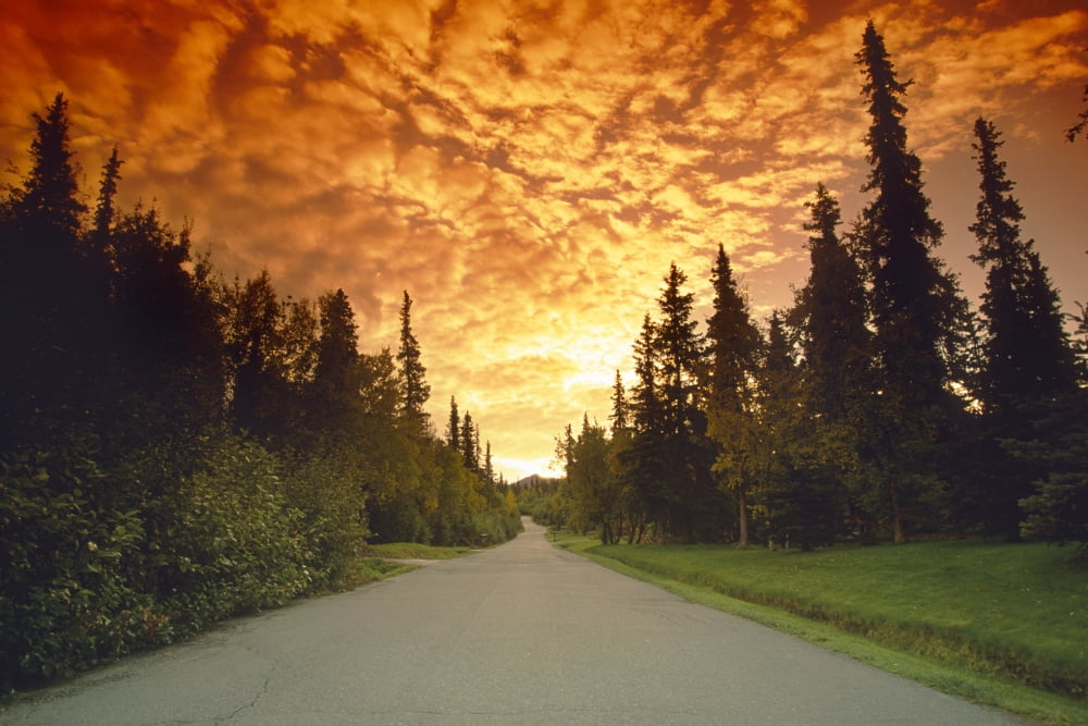 Road Going Into Sunset Rural Anchorage Sc Ak Summer Canvas Art - Jeff Schultz Design Pics (34 x 22)