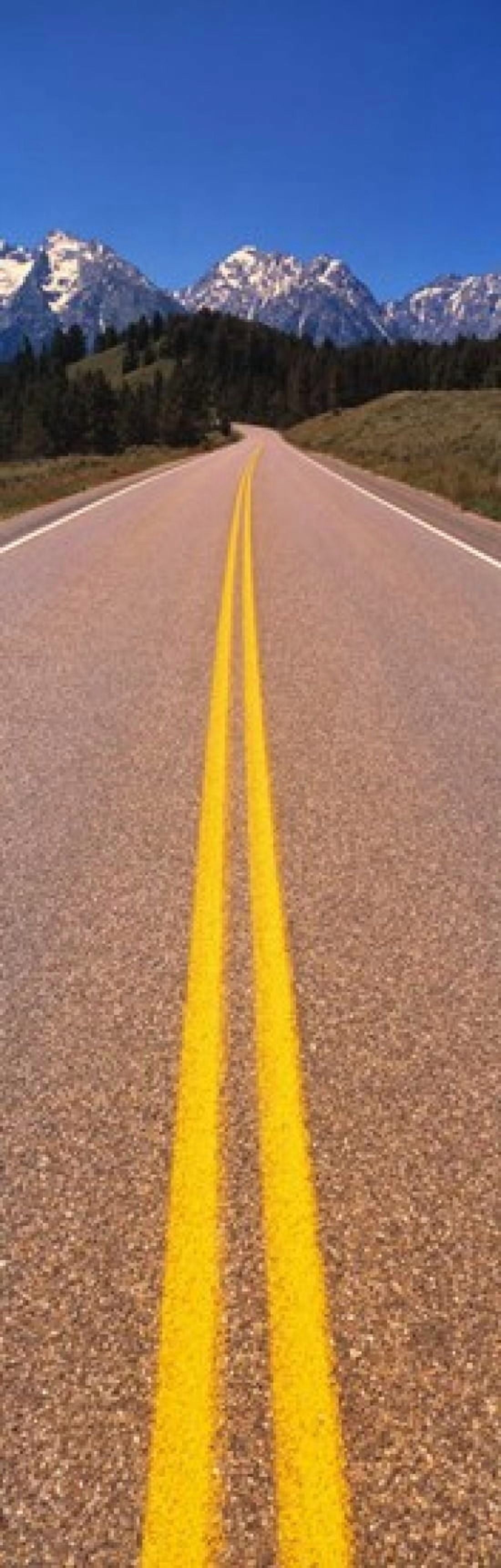 Road Grand Teton National Park WY Canvas Art - Panoramic Images (36 x 12)