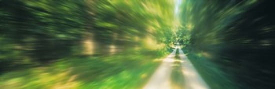 Road Greenery Trees Germany Canvas Art - Panoramic Images (36 x 12)