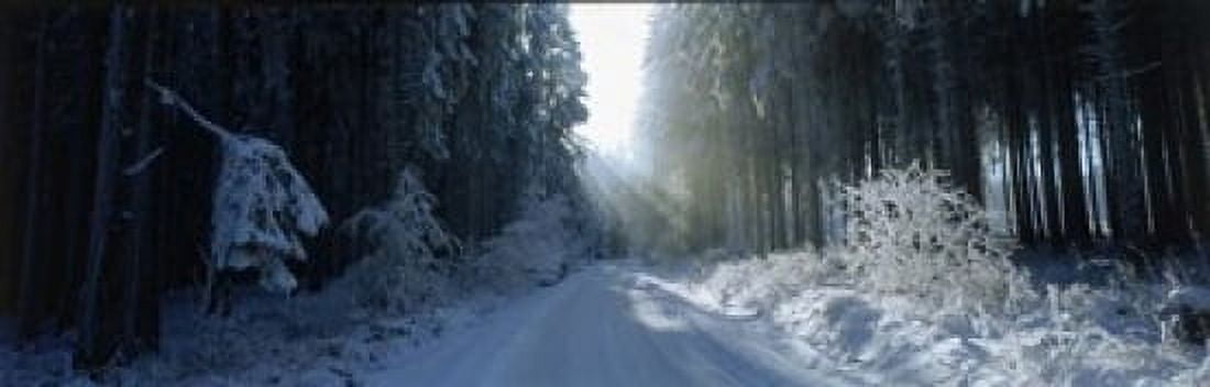 Road Hochwald Germany Canvas Art - Panoramic Images (18 x 6)