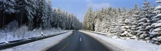 Road Hochwald Germany Canvas Art - Panoramic Images (36 x 12)