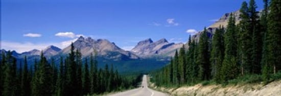 Road In Canadian Rockies Alberta Canada Canvas Art - Panoramic Images (36 x 13)