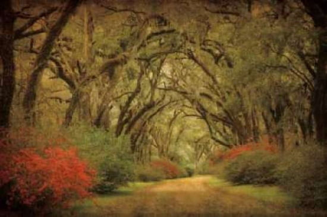 Road Lined With Oaks and Flowers Canvas Art - William Guion (24 x 36)