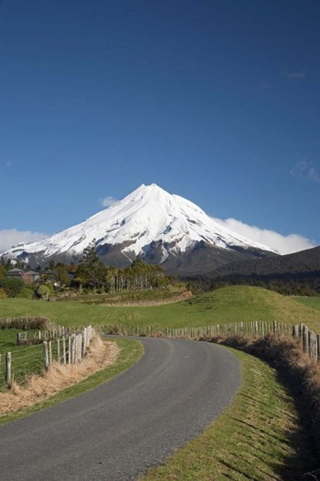 Road Mt Taranaki Mt Egmont North Island New Zealand Canvas Art - David Wall DanitaDelimont (11 x 17)