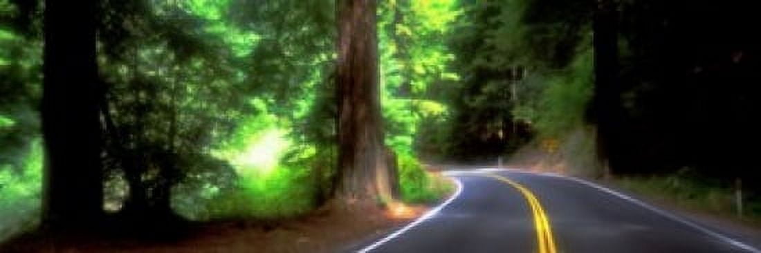 Road Redwoods Mendocino County California USA Canvas Art - Panoramic Images (18 x 6)