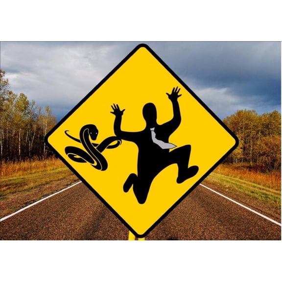 Road Sign Funny Novelty Road Sign Street Joke Snake Road Sign Warning Snake Sign Size: 8 inch x 8 inch