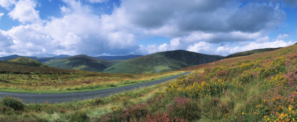 Road Through A Mountain Range County Wicklow Republic Of Ireland Canvas Art - The Irish Image Collection Design Pics (30 x 12)