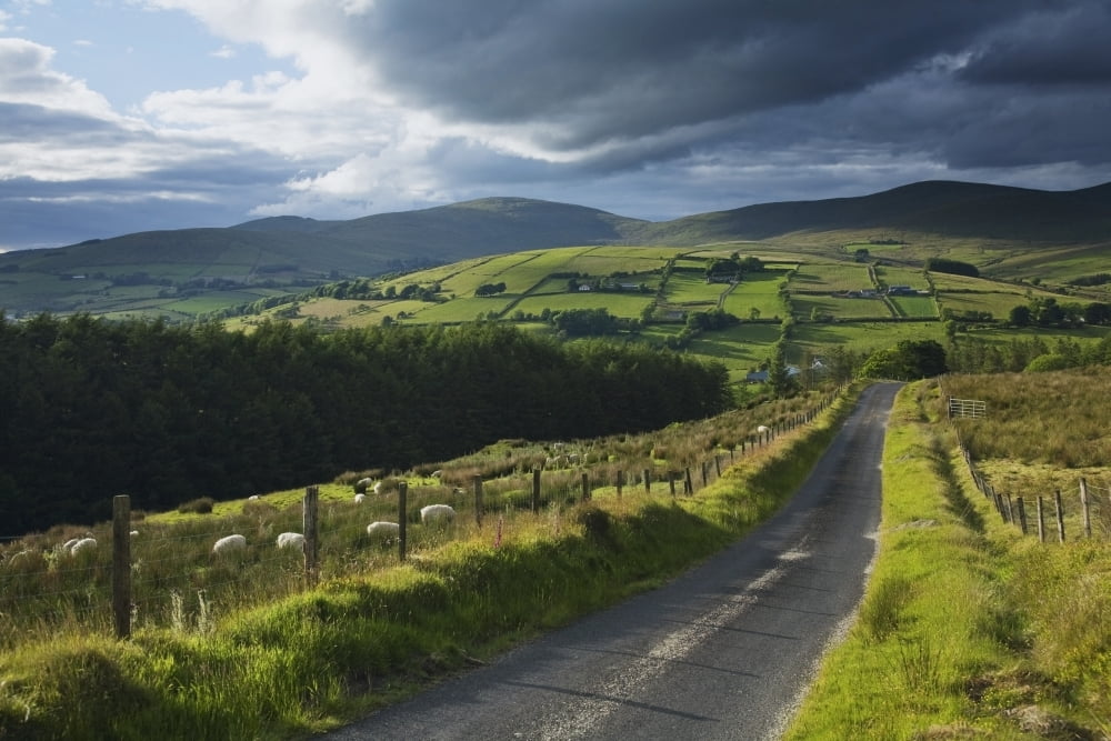 Road Through Glenelly Valley County Tyrone Northern Ireland Canvas Art - Gareth McCormack Design Pics (19 x 12)