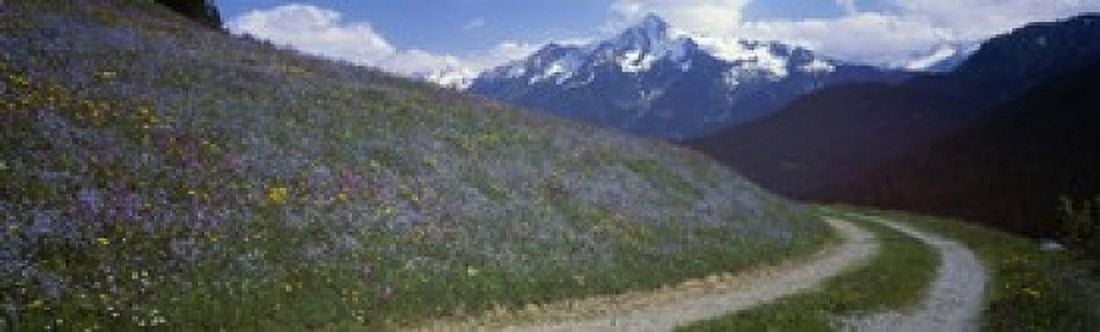 Road Through Hillside Zillertaler Austria Canvas Art - Panoramic Images (15 x 5)