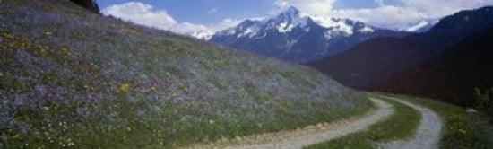 Road Through Hillside Zillertaler Austria Canvas Art - Panoramic Images (38 x 12)