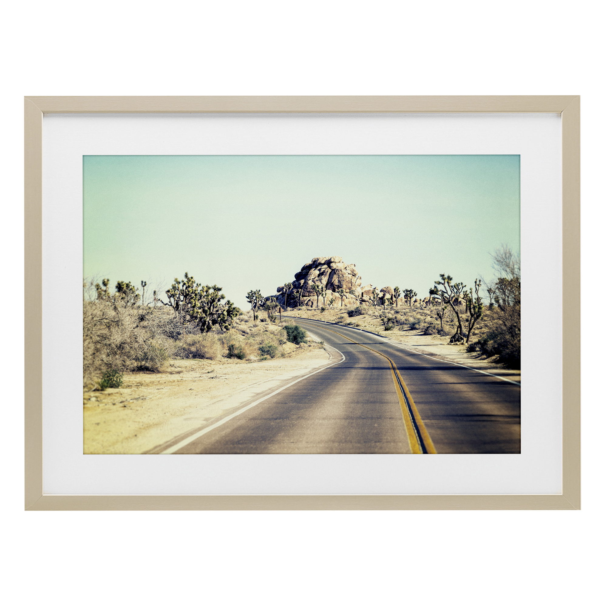 Road Trip Joshua Tree Park Birch Framed Print Under Glass, design by Joseph S Giacalone