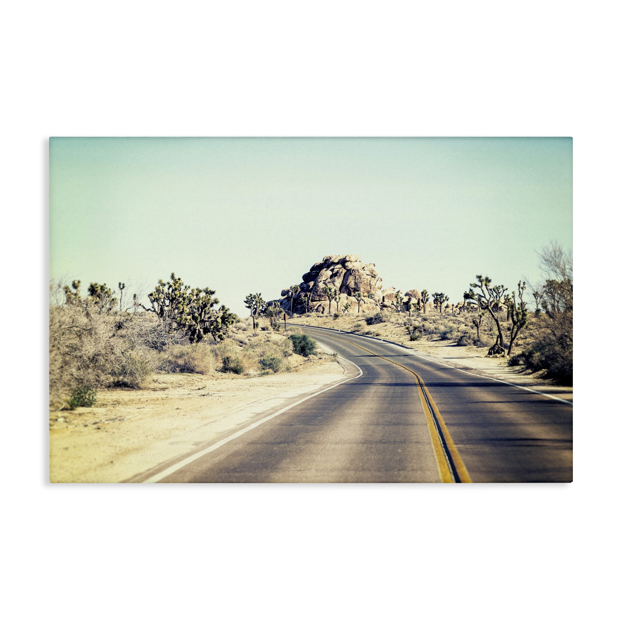 Road Trip Joshua Tree Park Canvas Wall Art, design by Joseph S Giacalone