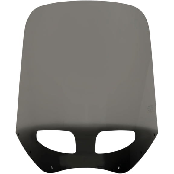 Road Warrior Fairing Windshield (Black Smoke)