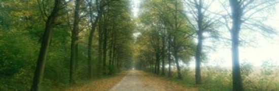 Road With Fog France Canvas Art - Panoramic Images (36 x 12)