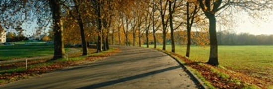 Road at Chateau Chambord France Canvas Art - Panoramic Images (36 x 12)