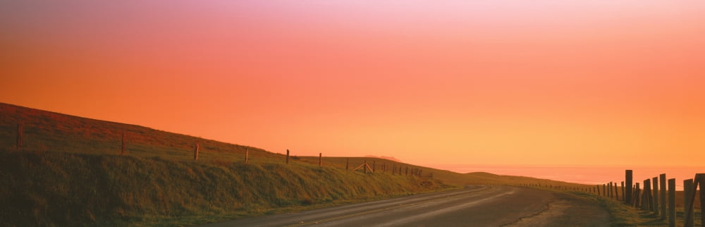 Road at sunset Point Reyes California USA Canvas Art - Panoramic Images (12 x 36)