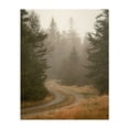 thumbnail image 1 of Road in Fog, Beals Island - Beals Maine Photography Unframed Wall Art Print 30 x 40 inches, 1 of 13