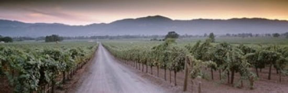 Road in a vineyard Napa Valley California USA Canvas Art - Panoramic Images (18 x 6)