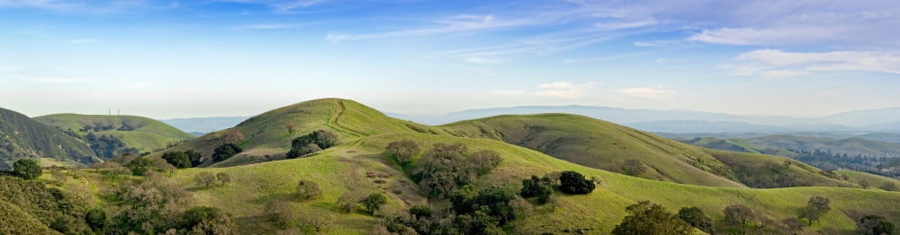 Road leading on top of a hill California USA Canvas Art - Panoramic Images (5 x 20)