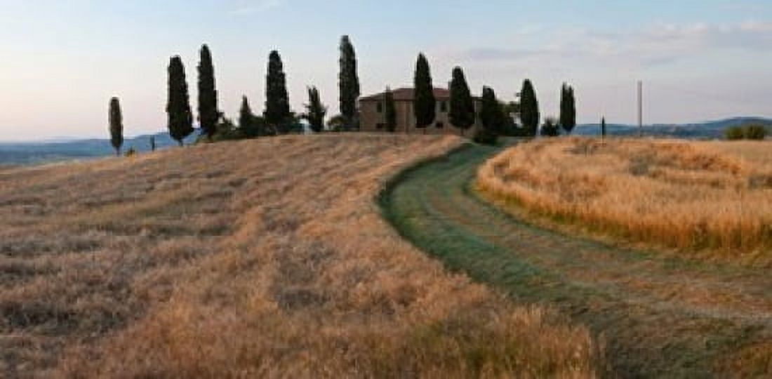 Road leading towards a farmhouse Val dOrcia Tuscany Italy Canvas Art - Panoramic Images (24 x 12)